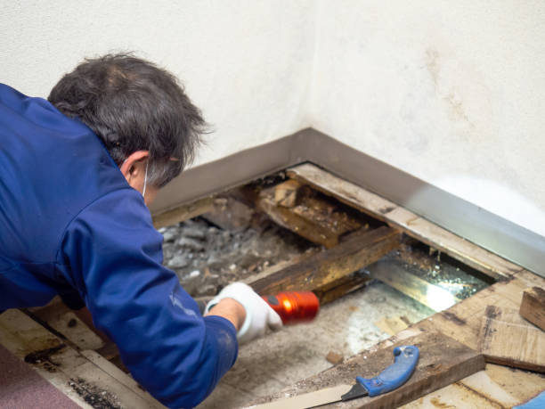 Best Crawl Space Mold Remediation in Arden On The Severn, MD