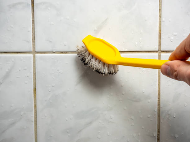 Best Post-Remediation Services in Arden On The Severn, MD