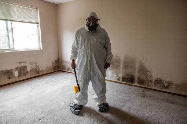 Best Bathroom Mold Remediation in Arden On The Severn, MD